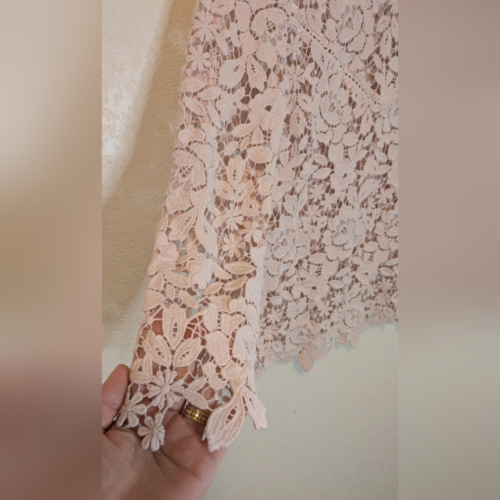 Joie Charnette Floral Lace Top in Rosewater - Picture 7 of 8